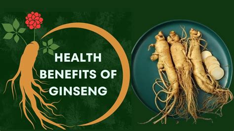 10 Amazing Ginseng Benefits For Health Health Benefits Of Ginseng