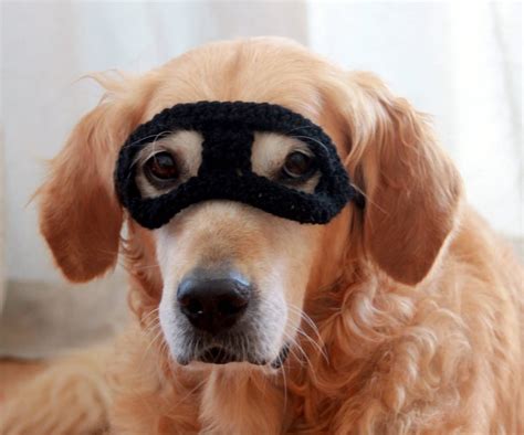 Super Hero Dog Costume Super Hero Mask for Dogs Super Hero - Etsy