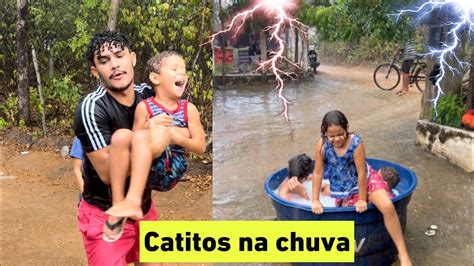 CATITOS TOMANDO BANHO DE CHUVA YouTube