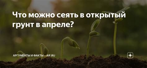 Что можно сеять в открытый грунт в апреле? | Аргументы и факты – aif.ru ...