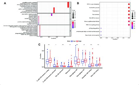 Functional Enrichment Analysis And The Characteristics Of Immune