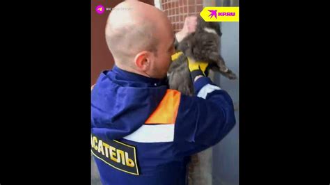 Цап за шкирку и спасли - YouTube