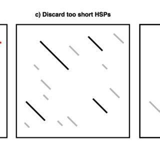 Sequence alignment. Shown is matrix visualization of the efficient ...