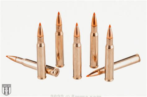 Hornady Superformance Gr Sst Review Leagues Above The Rest