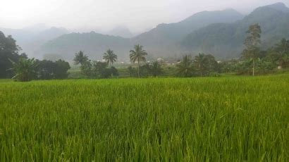 halaman artikel profil teguh wiyono kompasianacom