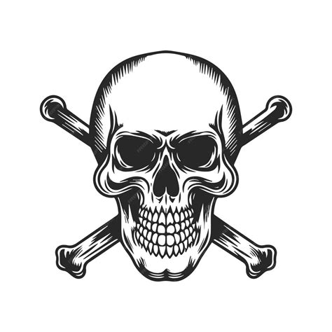 Premium Vector Skull Vector Logo And Illustration