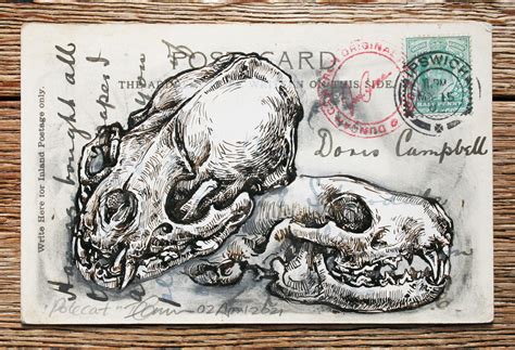 Artist Duncan Cameron on Collecting & Drawing - The Arty Teacher