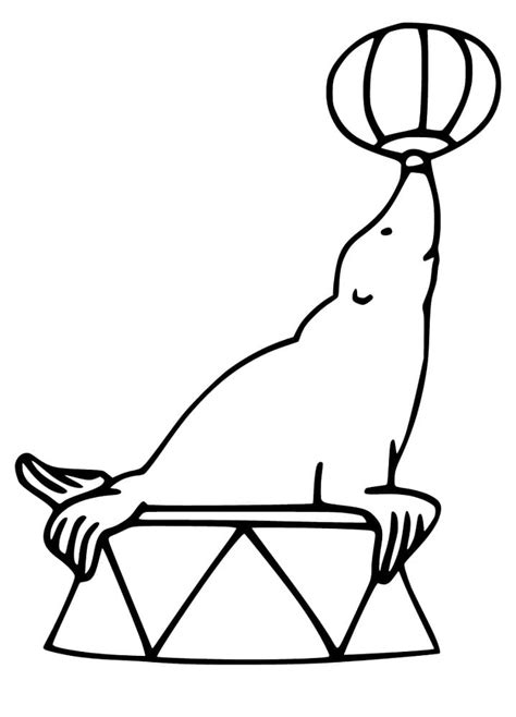 Sea Lion Coloring Pages Free Printable Coloring Pages For Kids