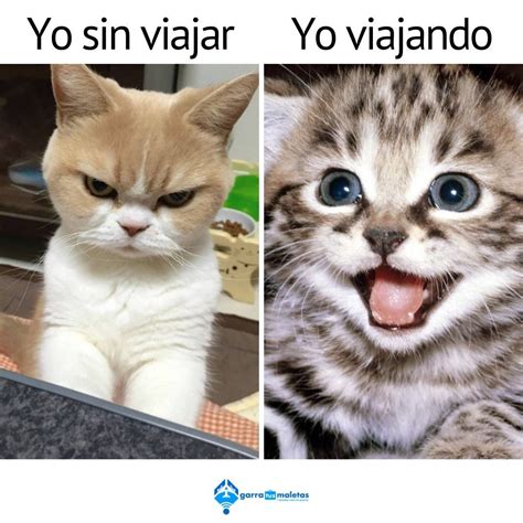 Yo Sin Viajar Yo Viajando Memes Funny Instagram Funny Things