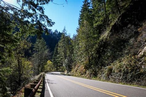 Umpqua Hot Springs: How to Get There & What to Expect - Go Wander Wild