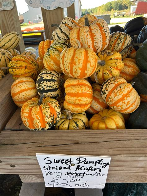 Big Tom’s Farm Market | Lake Odessa MI