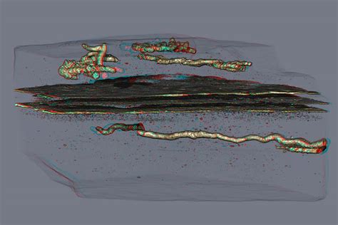 Controversial fossils suggest life began to move 2.1 billion years ago ...