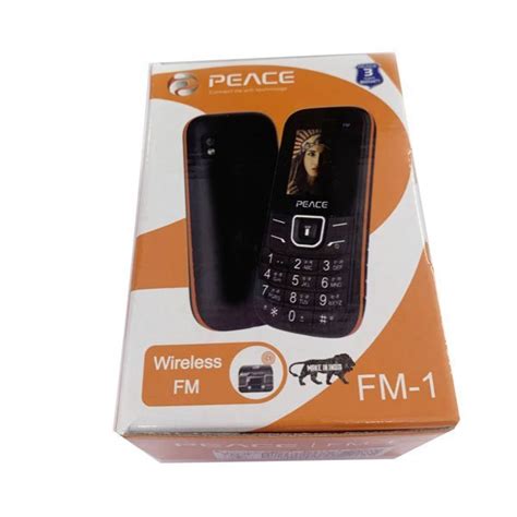 Black Mobile Phone Voice Changer At Rs 3000piece In New Delhi Id