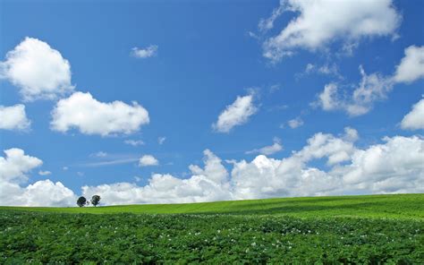 Green Grass Lawn Under White Cloudy Sky During Daytime Hd Wallpaper