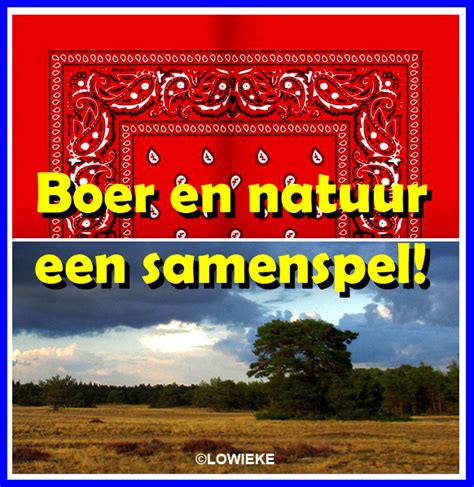 Boer En Natuur Een Samenspel De Veluwenaar