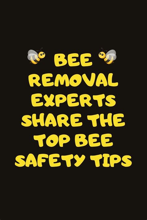 Bee Safety Tips Bee Removal Experts Share The Top Bee Safety Tips On