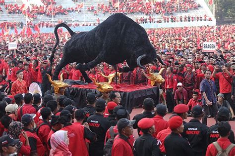 Gambar Banteng Pdi Perjuangan Pulp