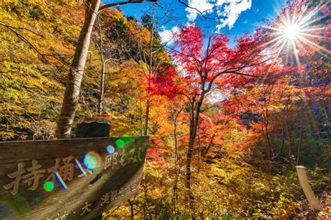 中津峡の紅葉【中津峡｜埼玉県秩父市】 フォトさいたま