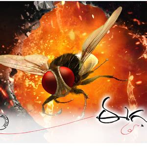 Big Shock to Rajamouli's 'Eega' | cinejosh.com