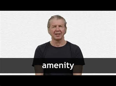 AMENITY definition and meaning | Collins English Dictionary