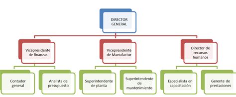 ORGANIGRAMA EMPRESARIAL 0 | Hot Sex Picture