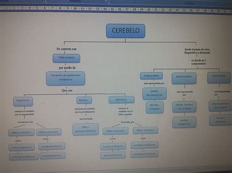 Neurodesarrollo Mapa Conceptual Cerebelo