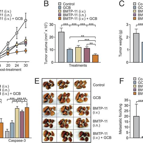 Expression Of Il 11rα And Il 11 In A Panel Of Human Osteosarcoma Cell