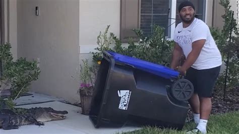 This Man Used A Garbage Can To Successfully Trap A Gator In Florida