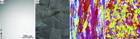 Microstructure Of Ab Hastelloy X Part Produced By Slm A Polished