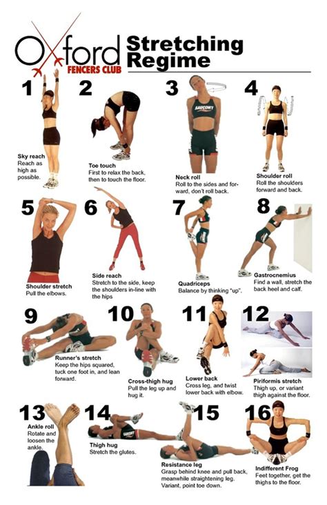 40 Charts of Post Workout Stretches to Prevent Injuries – Bored Art