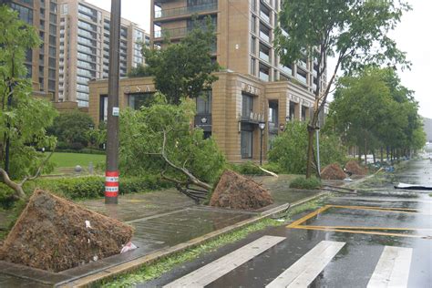 超强台风“利奇马”登陆，直击各地“风雨交加”界面新闻 · 图片