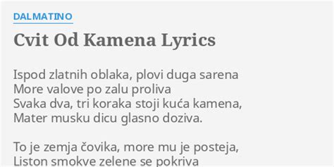 CVIT OD KAMENA LYRICS By DALMATINO Ispod Zlatnih Oblaka Plovi