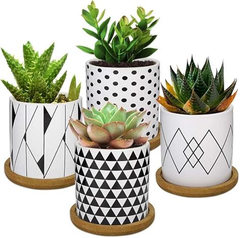 Lewondr Pcs Pot De Fleur Pouce Mini C Ramique Succulent Pots