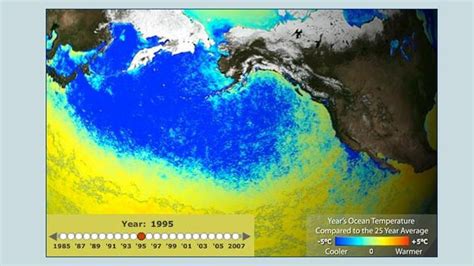 Sea Surface Temperature | Science | Interactive | PBS LearningMedia