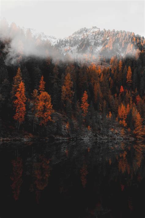 Forest Lake Shore Mountains Landscape HD Phone Wallpaper Peakpx