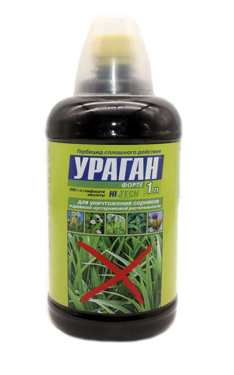 Гербицид для чеснока: обзор препаратов, применение от сорняков