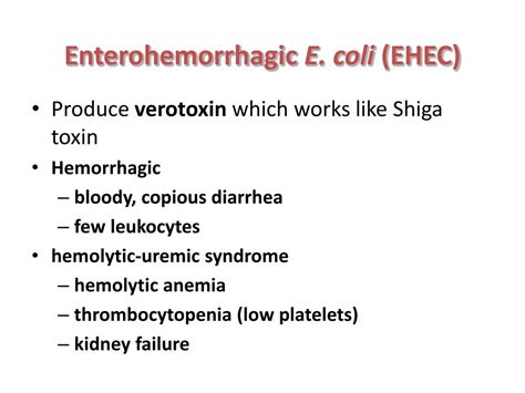 Ppt Gram Negative Rods Powerpoint Presentation Id202485