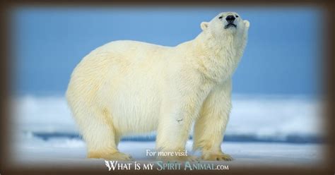 Polar Bear Symbolism & Meaning | Polar Bear Spirit, Totem, & Power Animal