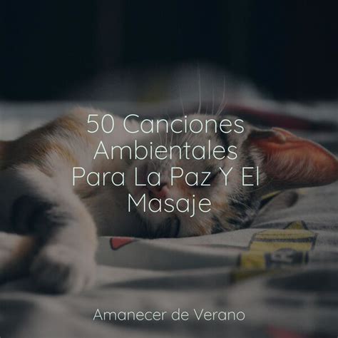 50 Canciones Ambientales Para La Paz Y El Masaje Música Relaxante Qobuz