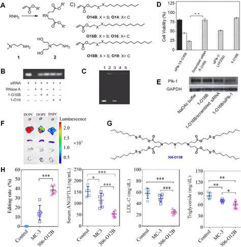 Figure 2 From Tailoring Combinatorial Lipid Nanoparticles For