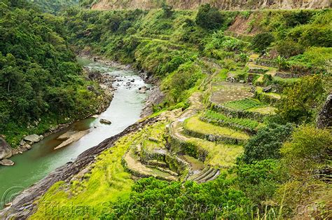 terraced fields in steep valley, chico river, philippines