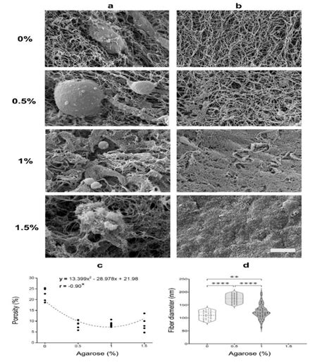 Representative Sem Micrographs Showing The Ultrastructure Of A Download Scientific Diagram