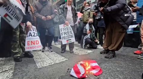 Pro-Palestinian demonstrators burned an American flag in New York City ...