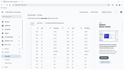 The Initial Execution Of Advanced Filtering And Sorting In The Radzen