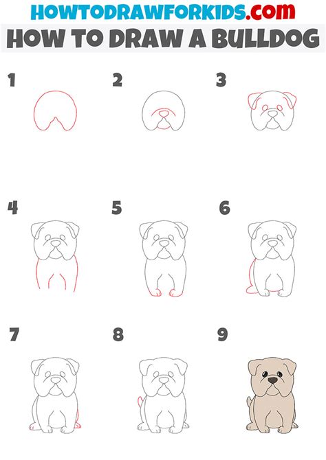 How To Draw A Bulldog Easy Drawing Tutorial For Kids