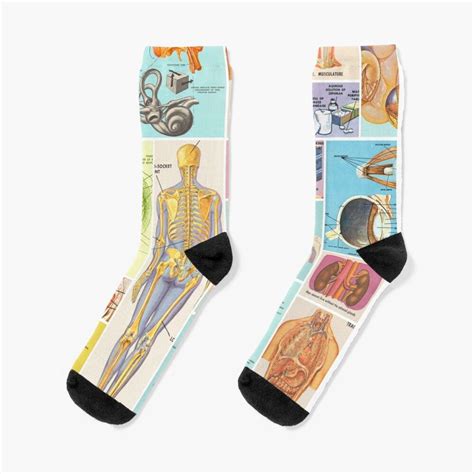 Vintage Style Visible Man Anatomy Socks