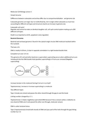 Molecular Cell Biology Lecture 9 Notes MCB Lecture 9 Mechanistic