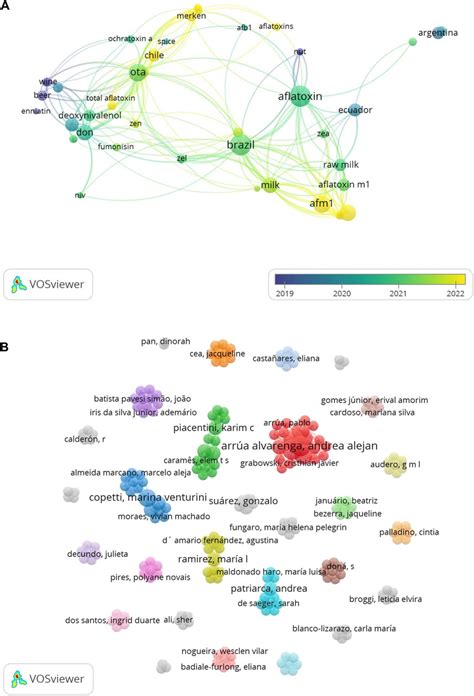 Frontiers A Mini Review Of Mycotoxins Occurrence In Food In South