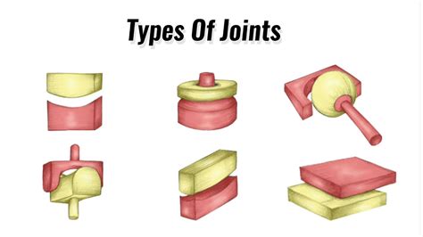 Types Of Joints In The Human Body Gcse Pe Youtube