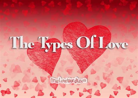 Discover the Types of Love » True Love Words